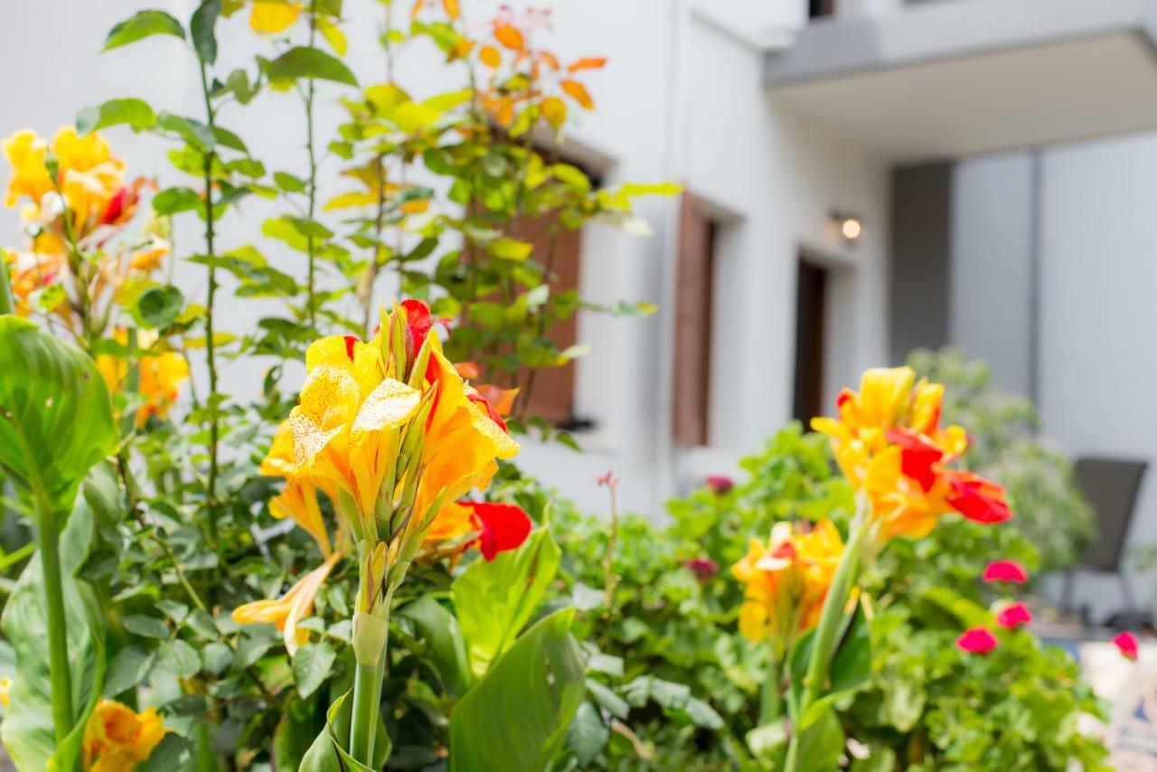 Stellar Apartments I Платаньяс Екстер'єр фото